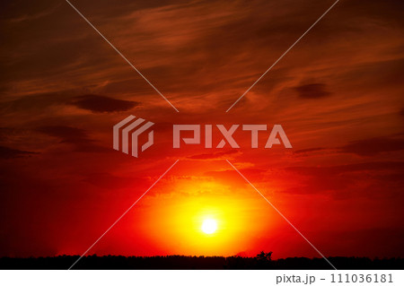 Beautiful colorful dramatic sky with clouds at sunset. Bright orange setting sun low on the horizon. Cirrus clouds change color from blue to yellow to red. Stunning backdrop, gorgeous scenery. 111036181