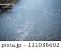 キラキラ光る水面 111036602