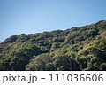 山の上から見た景色 111036606