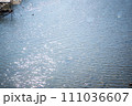 水面に映る太陽 111036607