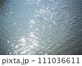 水面に反射する光 111036611