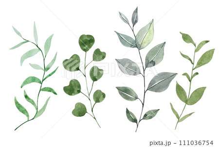 Set of green leaves on a white background, watercolor 111036754