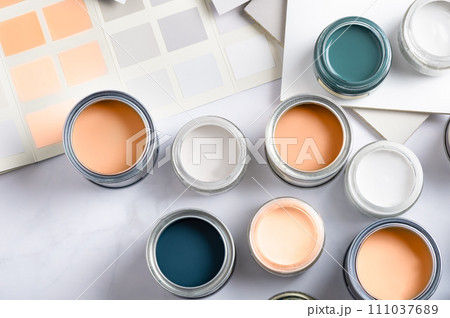 Choosing wall paints 111037689