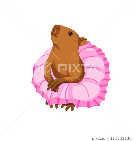 Isolated illustration on white background capybara girl in pink skirt. Capybara ballerina dancing, training.  111038130