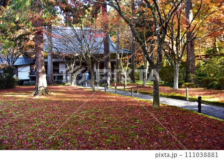 京都市 大原三千院の宸殿と有清園の紅葉 京都市 大原三千院の宸殿と有清園の紅葉 111038881