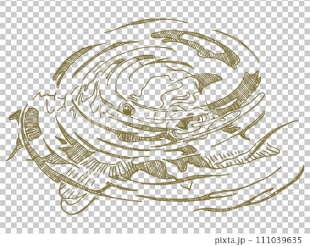 鯉の線画イラスト 111039635