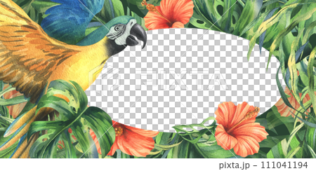 Tropical palm leaves, monstera and flowers of hibiscus, bright juicy with blue-yellow macaw parrot. Hand drawn watercolor botanical illustration. template, frame isolated from the background. Tropical palm leaves, monstera and flowers of hibiscus, bright juicy with blue-yellow macaw parrot. Hand drawn watercolor botanical illustration. template, frame isolated from the background. 111041194