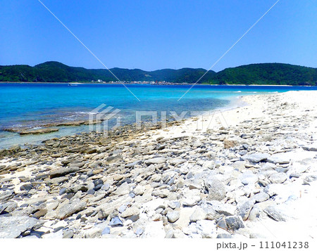 沖縄・慶良間諸島・座間味・GWの安慶名敷島 沖縄・慶良間諸島・座間味・GWの安慶名敷島 111041238