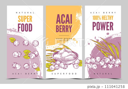 Acai berries and leaves on vector flyers template, fresh berries with foliage, engraved hand drawn healthy superfood Acai berries and leaves on vector flyers template, fresh berries with foliage, engraved hand drawn healthy superfood 111041258