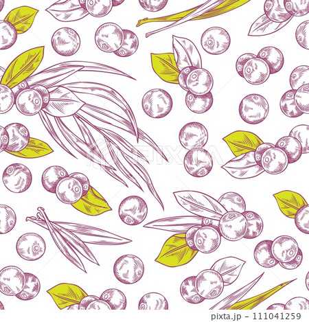 Seamless pattern with Acai berries and leaves, vector hand drawn natural fruit superfood violet contour with yellow 111041259