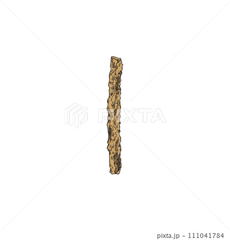 Single branch of acai palm hand drawn sketch style vector illustration isolated. Single branch of acai palm hand drawn sketch style vector illustration isolated. 111041784