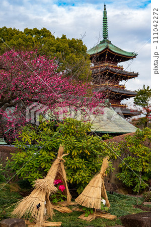 梅の木と多重塔(ボタン苑の中からみた風景の一部) 梅の木と多重塔(ボタン苑の中からみた風景の一部) 111042272