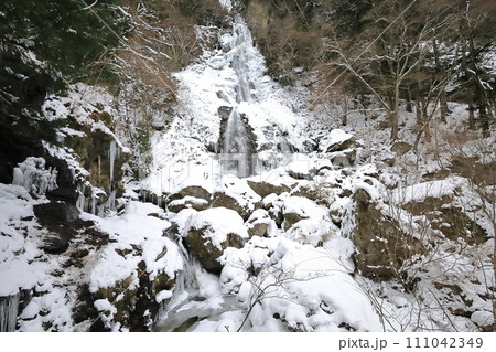 琵琶の滝(氷瀑) 琵琶の滝(氷瀑) 111042349
