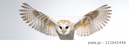 AI-generated content. Close up of the barn owl in flight, against the light, selective focus on white background 111042448