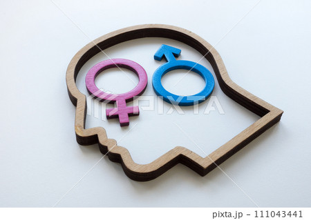 Heteronormativity concept. Head and gender signs. 111043441