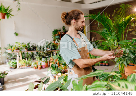 Smiling florist man flowers seller in flowers shop, A handsome male florist gardener posing in plant store. Small business owner in flower shop. 111044149
