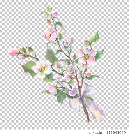 Watercolor apple tree branch and flowers bouquet with white bow, blooming tree on white background, isolated watercolor illustration. It's perfect for wedding cards, mothers day and valentines card. 111045069