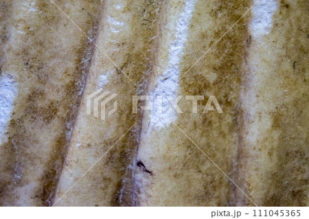 Plot material marble antique statues. 111045365