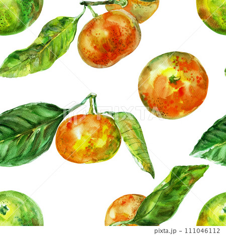 Pattern with orange fruit and leaves. Watercolor hand-drawn elements. Isolated on white background. Delicious fruit clip-art illustration. Used on labels, napkins, towels, tableware, package 111046112