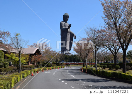 牛久大仏 世界最大のブロンズ立像 111047222