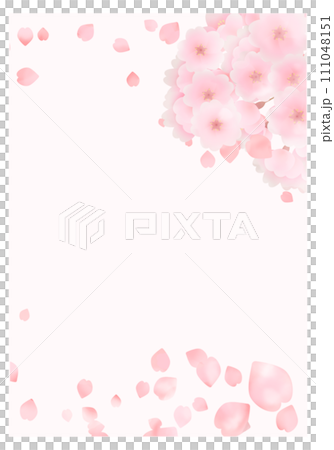 Cherry blossom and petal frame, background illustration 111048151