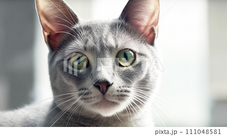 猫(ロシアンブルー) 111048581