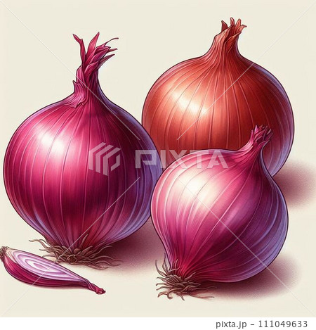 玉ねぎのイラスト素材 玉ねぎのイラスト素材 111049633