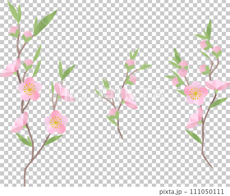 桃の花のイラスト 桃の花のイラスト 111050111