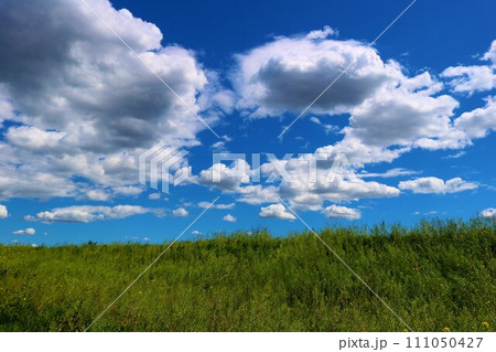 のどかな春の渡良瀬 土手を歩く のどかな春の渡良瀬 土手を歩く 111050427