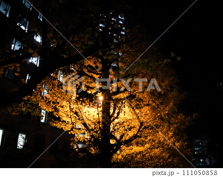 年末の東京紀尾井坂の夜景 年末の東京紀尾井坂の夜景 111050858