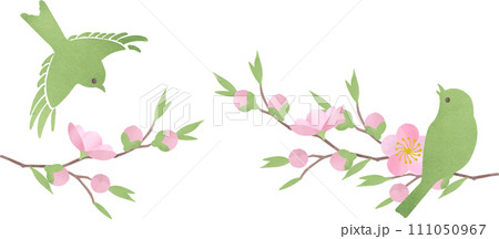 桃の花と鶯のイラスト 111050967