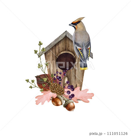 Vintage style autumn season cozy decor with a bird. Watercolor illustration. Hand drawn vintage style birdhouse, floral decor and waxwing. Autumn flower natural decor with bird. White background 111051126