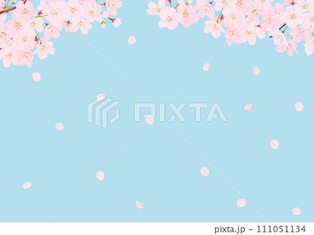 桜の背景素材　空 111051134
