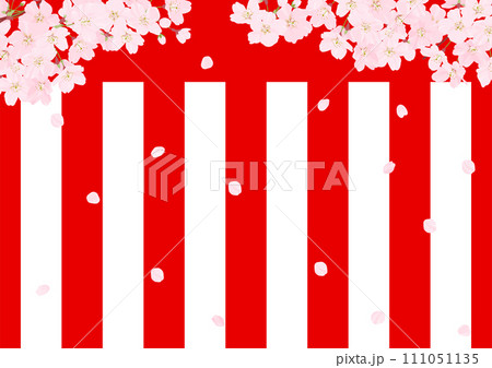 桜の背景素材　紅白の横断幕 111051135
