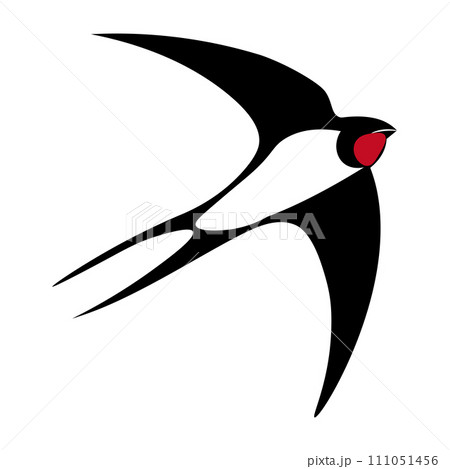 飛ぶツバメのイラスト 111051456