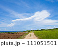 石垣島の青い空と道 111051501