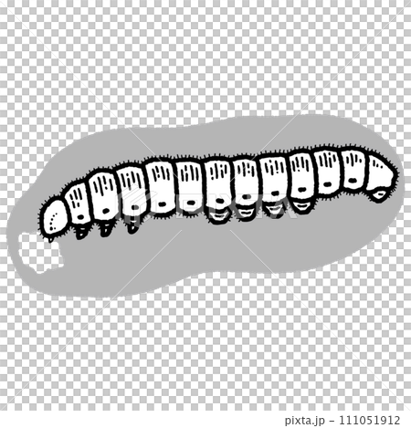Caterpillar butterfly larva/line drawing 111051912