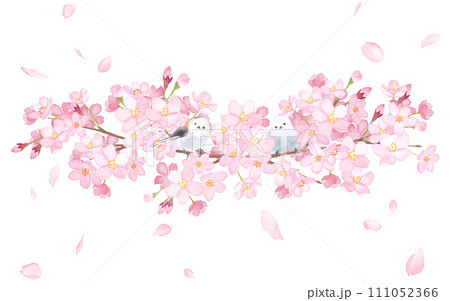 桜とエナガ2羽の装飾フレーム。水彩イラスト。 111052366