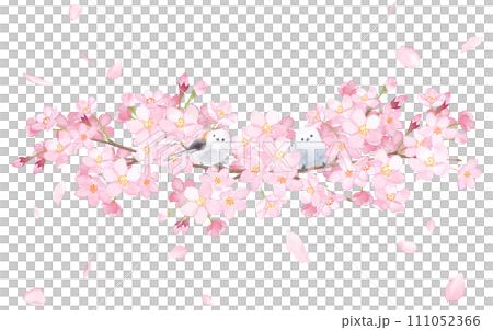 桜とエナガ2羽の装飾フレーム。水彩イラスト。 111052366