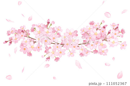 桜と水彩イラストで構成した装飾フレーム。見出し装飾。 111052367