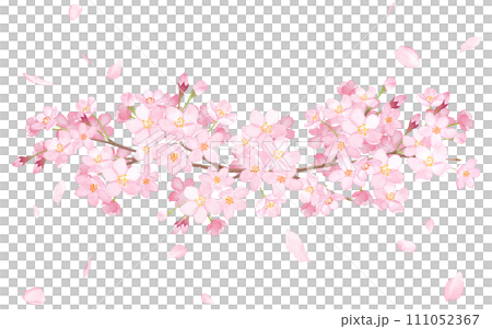 桜と水彩イラストで構成した装飾フレーム。見出し装飾。 111052367