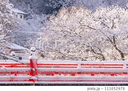 240108中橋g055 111052978