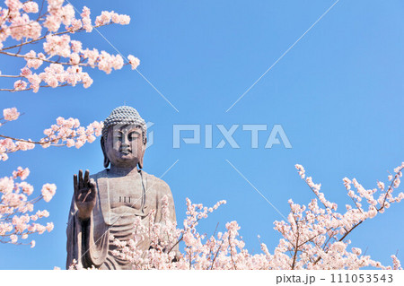 茨城県　春の桜と牛久大仏 111053543