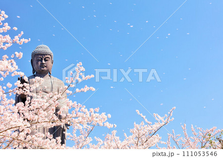 茨城県 春の桜吹雪と牛久大仏 茨城県 春の桜吹雪と牛久大仏 111053546