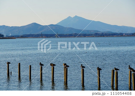霞ヶ浦より紫峰筑波山を望む午後 早春の風景 霞ヶ浦より紫峰筑波山を望む午後 早春の風景 111054408