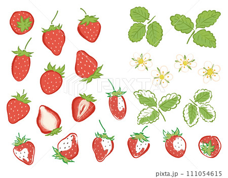 和風筆タッチのいちごのイラスト 111054615