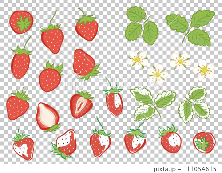 日本畫筆描邊的草莓插圖 111054615