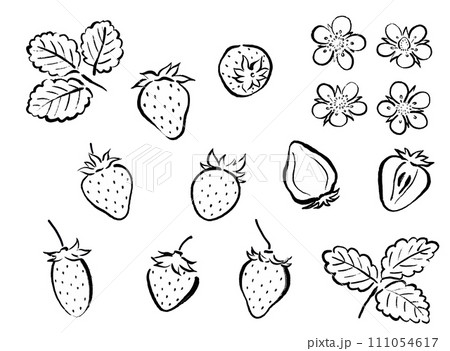 和風筆タッチのいちごの線画イラスト 111054617