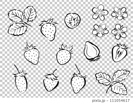 和風筆タッチのいちごの線画イラスト 111054617