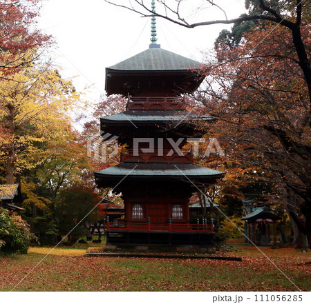 紅葉盛りの三重塔 紅葉盛りの三重塔 111056285
